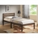 Donato Twin Bed in Ash Brown