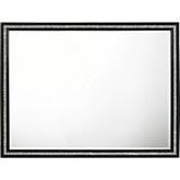 Haiden Mirror in Weathered Black Finish & Silver