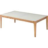 Gwynn Coffee Table in Wood & Frosted Glass