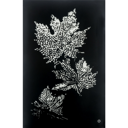 Hadrias Wall Art with LED in Smoky Glass & Faux Crystal