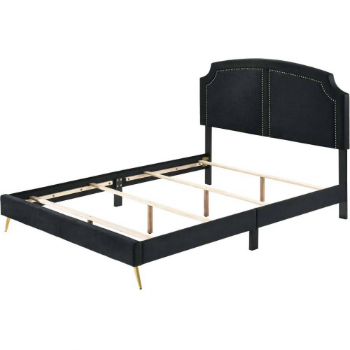 Zeena Full Bed in Black Velvet & Gold Metal