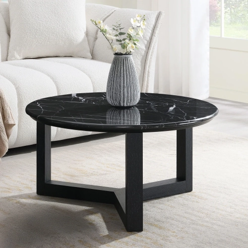 Dara Coffee Table in Natural Black Marble & Wood