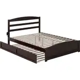 Warren Queen Platform Bed with Footboard & Twin XL Trundle in Espresso
