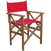 Director Outdoor Folding Armchair in Honey Golden Teak & Canvas (Set of 2)