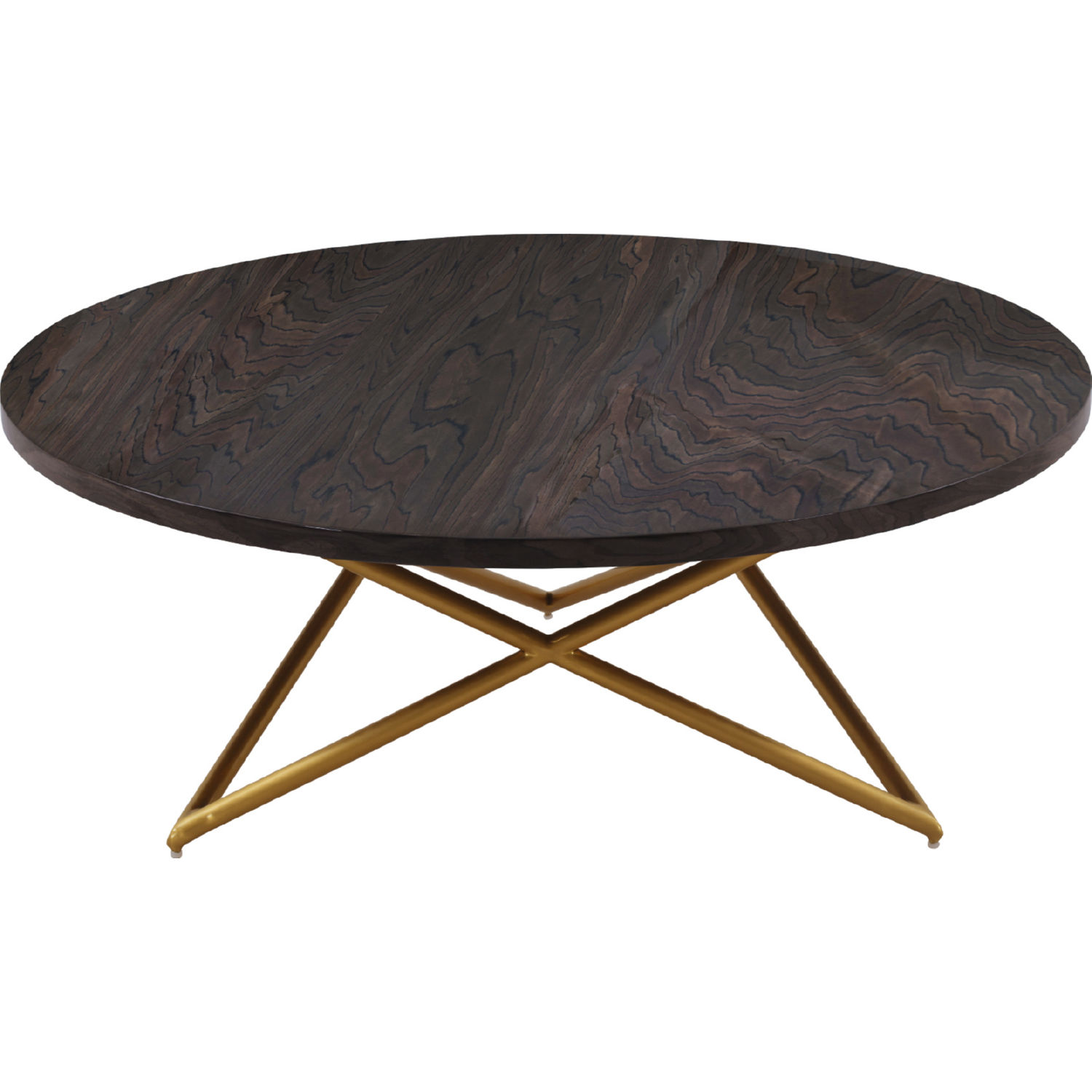 Armen Living Atala Coffee Table