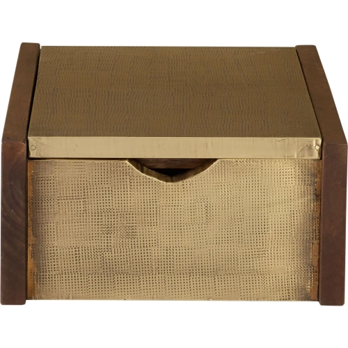 Dorsey Decorative Box in Walnut Finish Mango Wood & Aged Brass