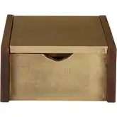 Dorsey Decorative Box in Walnut Finish Mango Wood & Aged Brass