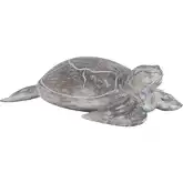 Galapagos Decorative Turtle Sculpture in White Washed Albasia Wood