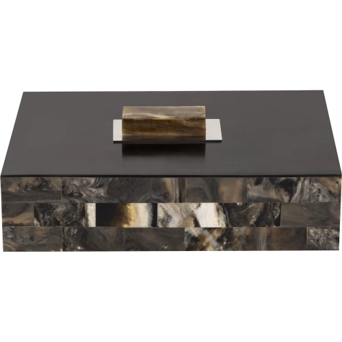 Little Horn Decorative Box in Horn Resin & Black