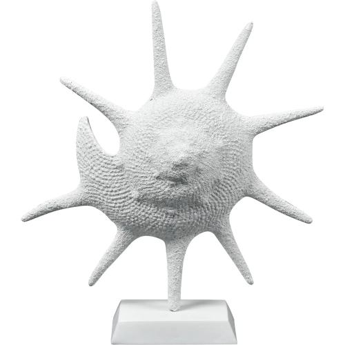 Marco Shell in Textured White Resin