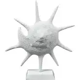 Marco Shell in Textured White Resin