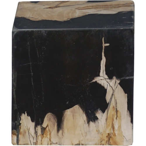 Vertex Decorative Sculpture in Natural Petrified Wood