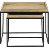 Akin Accent Table 2 Piece Set in Mango Wood & Black Metal