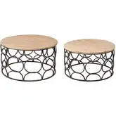 Billings Coffee Table 2 Piece Set in Natural Fir Wood & Aged Pewter