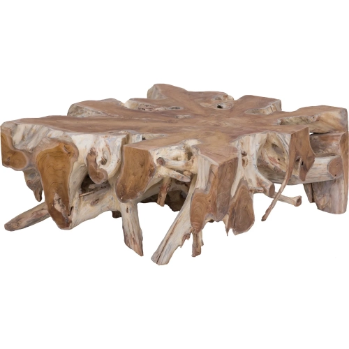 Teak Root Starburst Coffee Table in Natural Teak