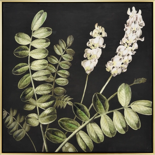 Botanical Study II Framed Canvas Painting Wall Art in Green, Black & White