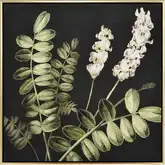 Botanical Study II Framed Canvas Painting Wall Art in Green, Black & White