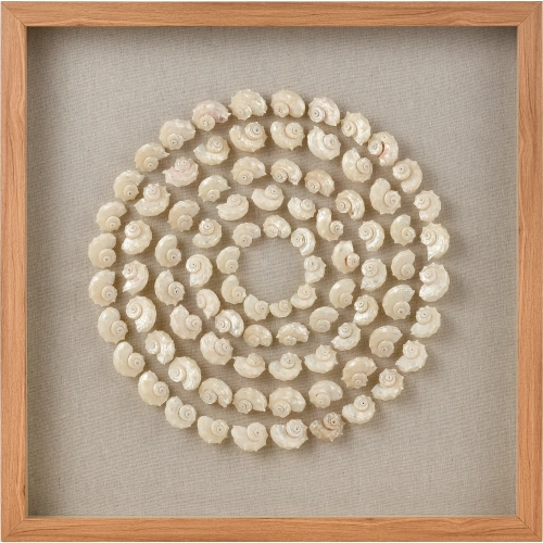 Concentric Shell Dimensional Wall Art in Natural Wood, Shells & Glass