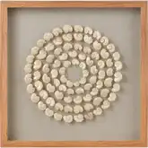 Concentric Shell Dimensional Wall Art in Natural Wood, Shells & Glass