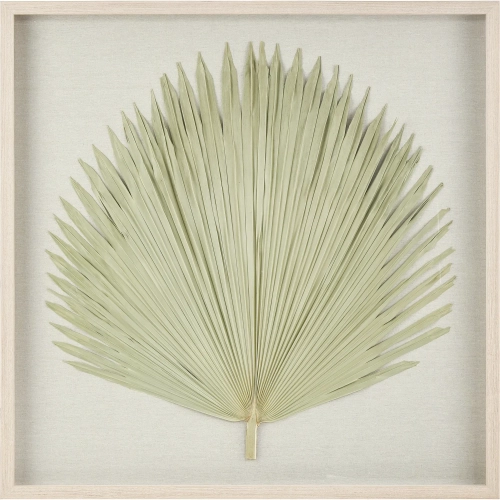 Fan Palm Dimensional Wall Art in Palm Leaf, Wood & Glass