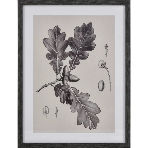 Foliage I Botanic Framed Wall Art in Ivory & Black