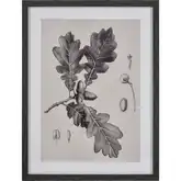 Foliage I Botanic Framed Wall Art in Ivory & Black