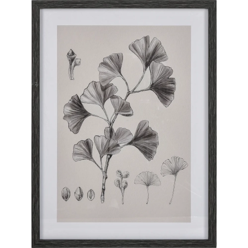 Foliage II Framed Wall Art in Ivory & Black