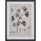 Foliage II Framed Wall Art in Ivory & Black
