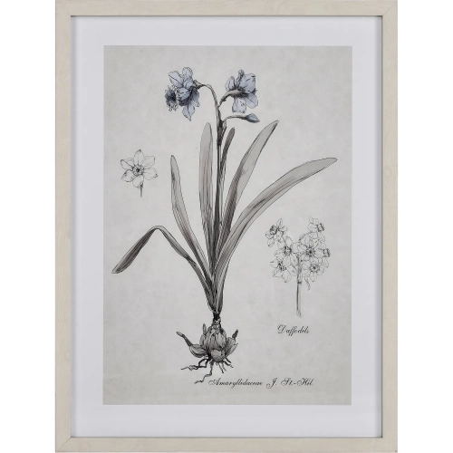 Stems II Framed Botanic Wall Art in Cream & White Washed Wood