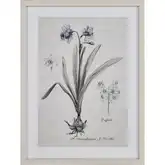 Stems II Framed Botanic Wall Art in Cream & White Washed Wood