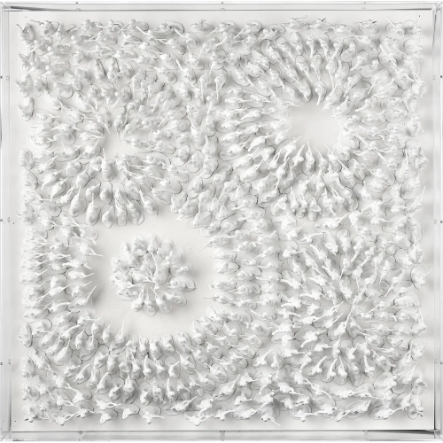 Viewpoint Dimensional Wall Art in White & Clear Acrylic