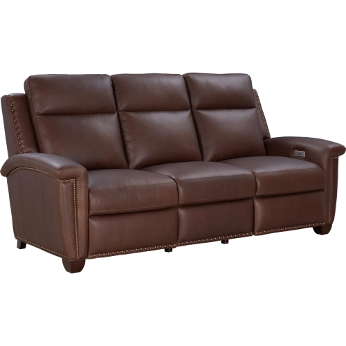 Briar Power Reclining Sofa w/ Power Head Rests in Chocolate Brown Top Grain Leather