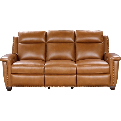 Briar Power Reclining Sofa w/ Power Head Rests in Saddle Brown Top Grain Leather