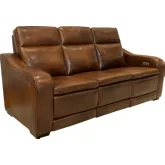 Grady Power Recline Sofa with Power Head Rests & Lumbar in Cocoa Brown Leather
