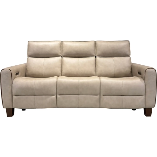 Jonah Power Reclining Sofa with Power Head Rests in Winfield Neutral Leather
