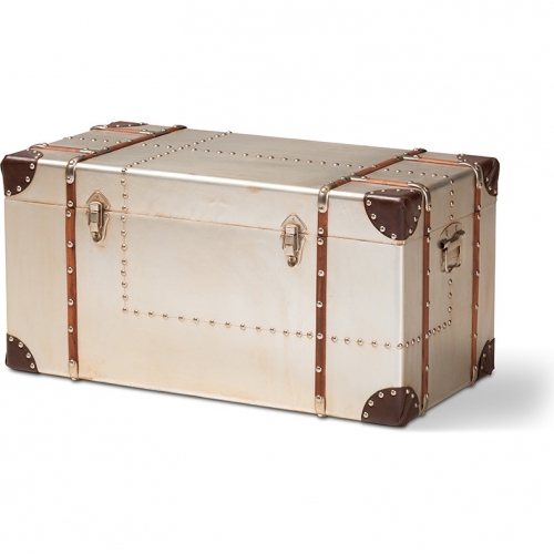 Bechet Storage Trunk in Silver Metal