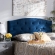 Leone King Headboard in Button Tufted Navy Blue Velvet