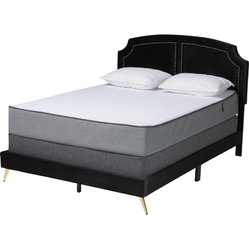 Oxley Queen Panel Bed in Black Velvet with Nailhead & Gold Metal Legs