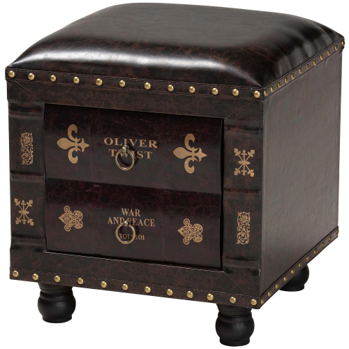 Charlier Storage Ottoman in Dark Brown Leatherette & Wood