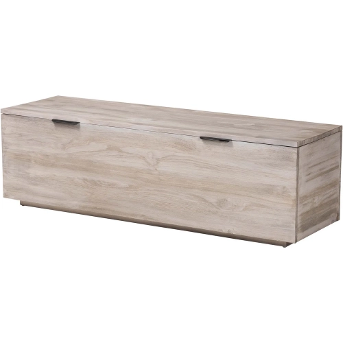 Alvaro Storage Trunk in White Wash Pine Wood