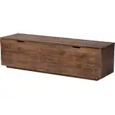 Alfonso Storage Trunk in Brown Wash Pine Wood
