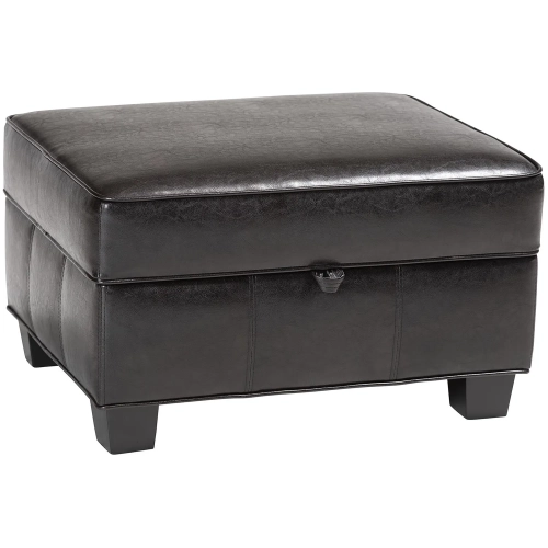 Agustus Storage Ottoman in Dark Brown Leather