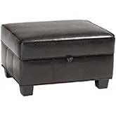 Agustus Storage Ottoman in Dark Brown Leather