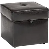 Sydney Storage Ottoman in Brown Leatherette