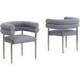 SC Accent Chair in Chairs in Gray Teddy Faux Fur Fabric & Gold Chrome (Set of 2)