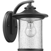 Liam Transitional 1 Light Black Outdoor Wall Sconce 11"H