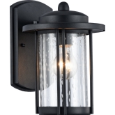 Dolan Transitional 1 Light Black Outdoor Wall Sconce 11" Height