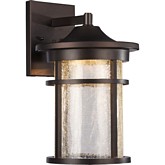 Frontier Transitional LED Rubbed Bronze Outdoor Wall Sconce 15"H