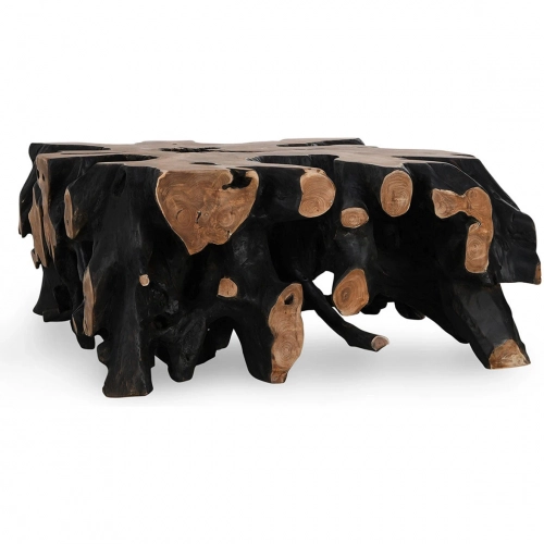 Cypress 40" Square Coffee Table in Black & Natural Teak Root