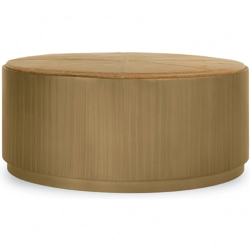 Evan Coffee Table with Casters in Chestnut Brown Top Grain Leather & Brass